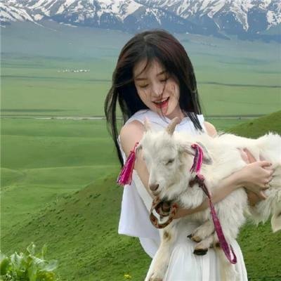 自杀突击队:惨痛代价