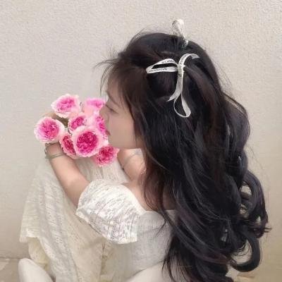 少林与咏春粤语
