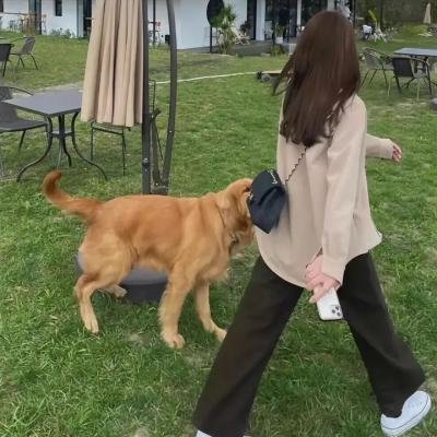 蝴蝶仔